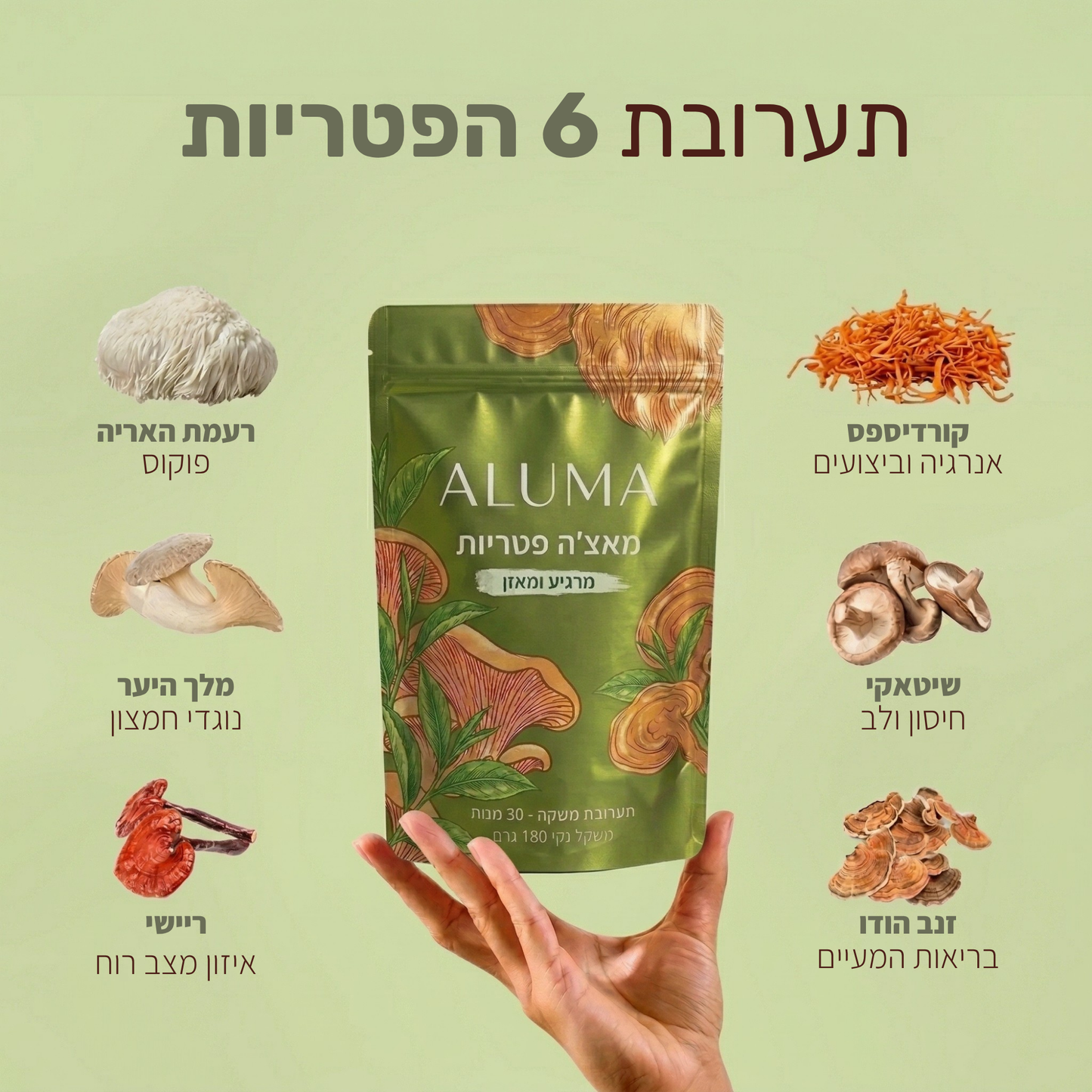 ALUMA - מאצ׳ה פטריות להגברת האנרגיה והריכוז