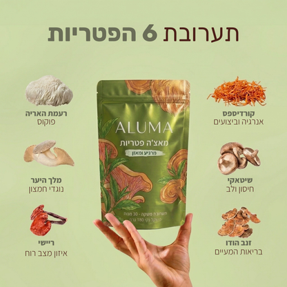 ALUMA - מאצ׳ה פטריות להגברת האנרגיה והריכוז