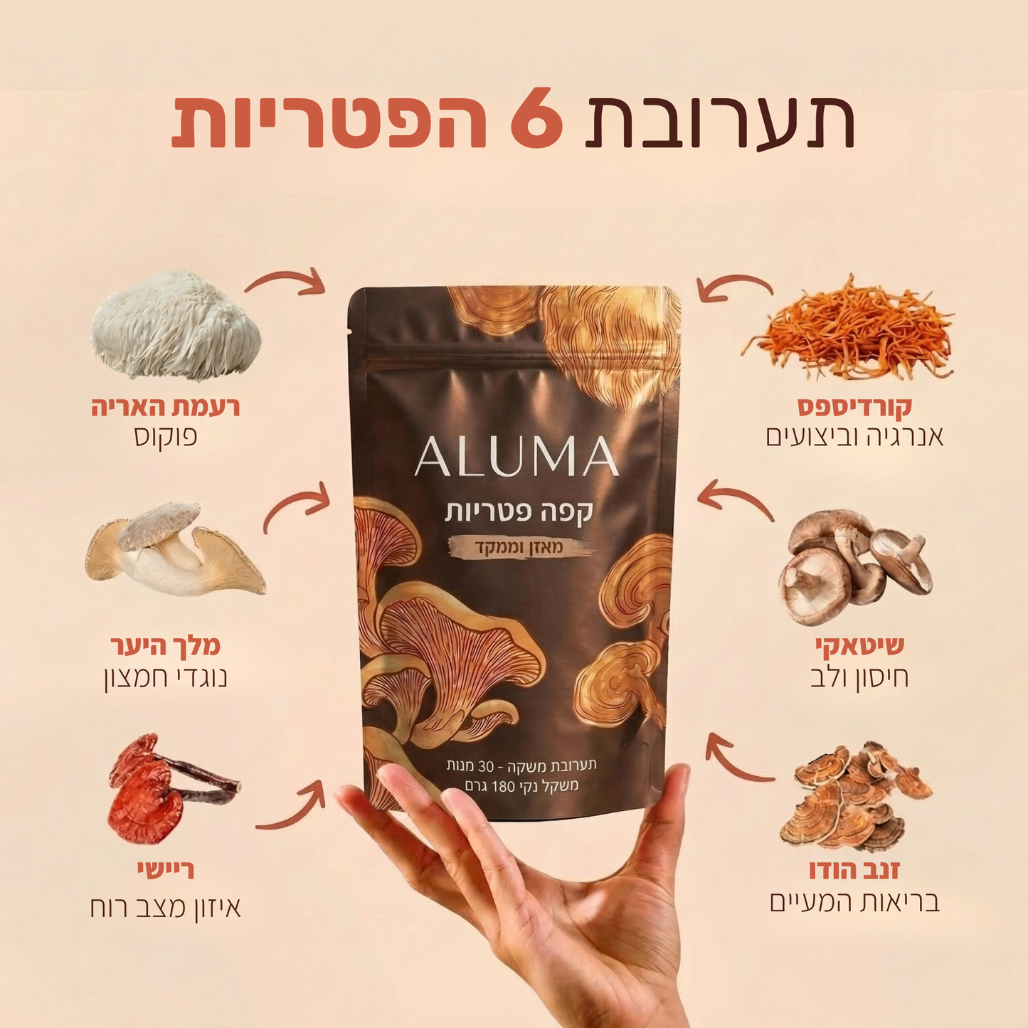 ALUMA - קפה פטריות לאנרגיה יציבה ושיפור פוקוס