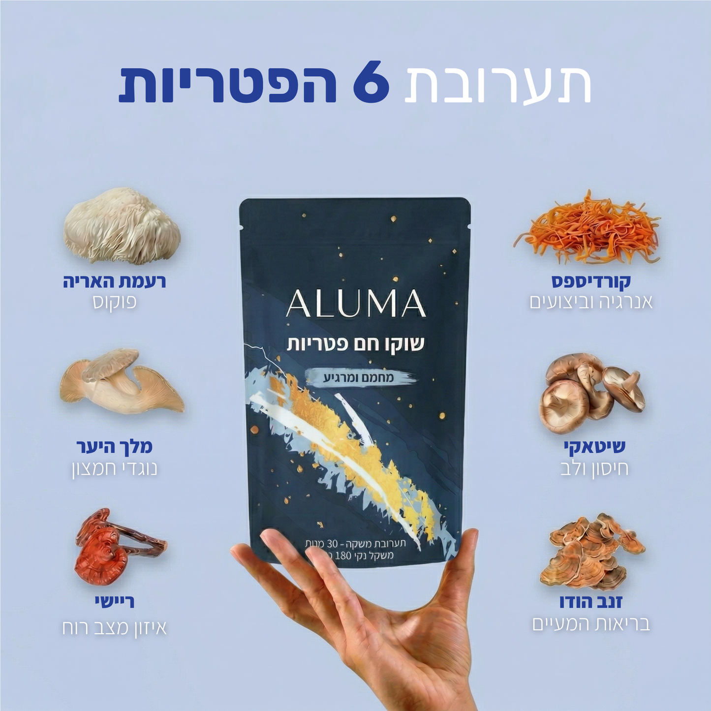 ALUMA - שוקו פטריות להגברת האנרגיה והריכוז